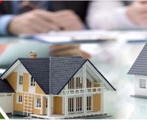 Real Estate Management