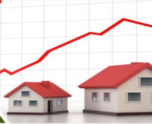 Real Estate Development